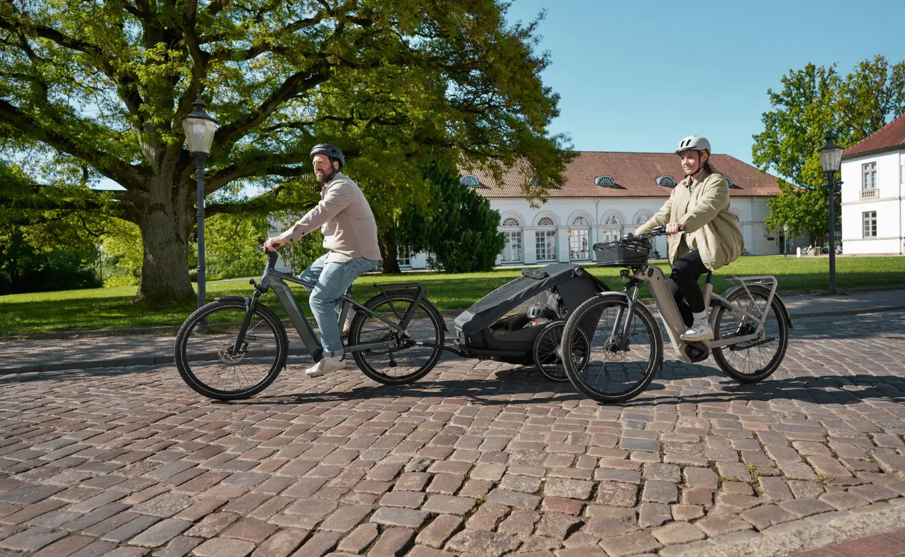 Kalkhoff K26 Endeavour 3 Move Gents EBike, Silver - Image 8