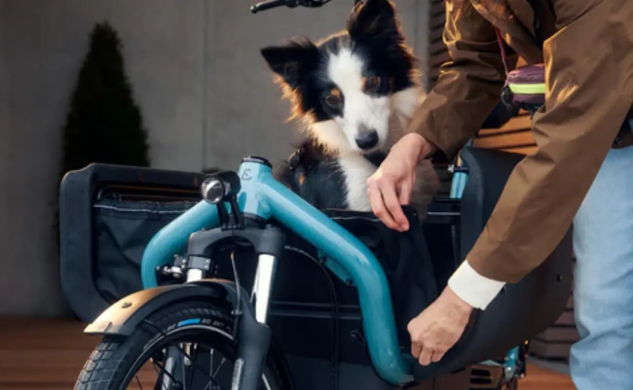 Riese & Muller Carrie2 City EBike - Image 7