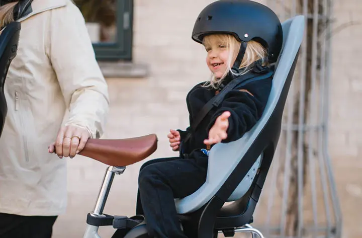Thule Yepp 2 Maxi Rear Child Seat - Image 4
